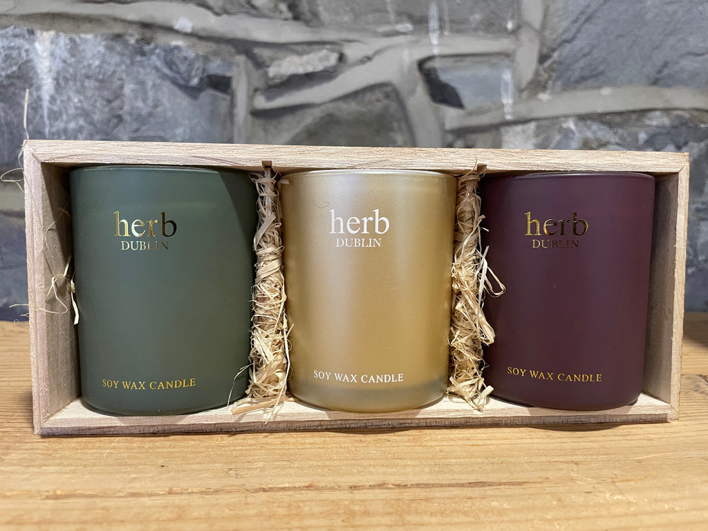 Herb Dublin Soy Wax Candle Set