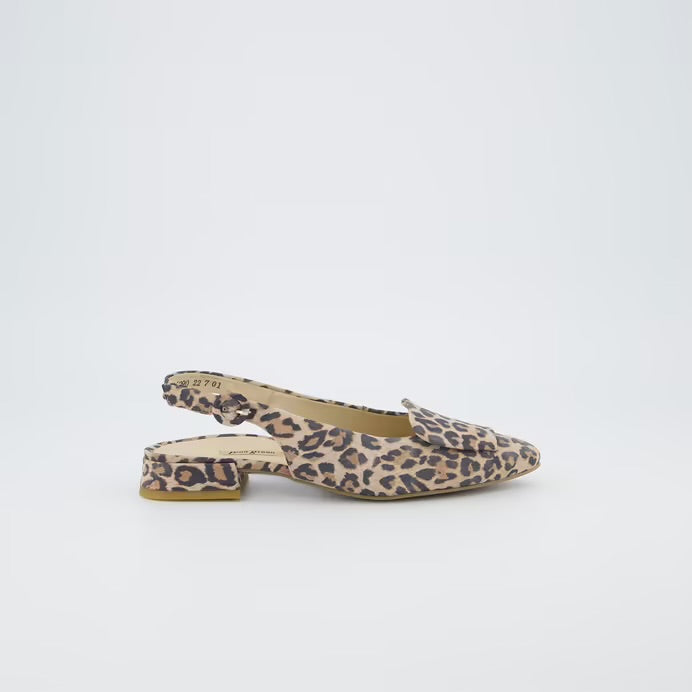 Paul Green R1 Leopardino Desert Ballerina